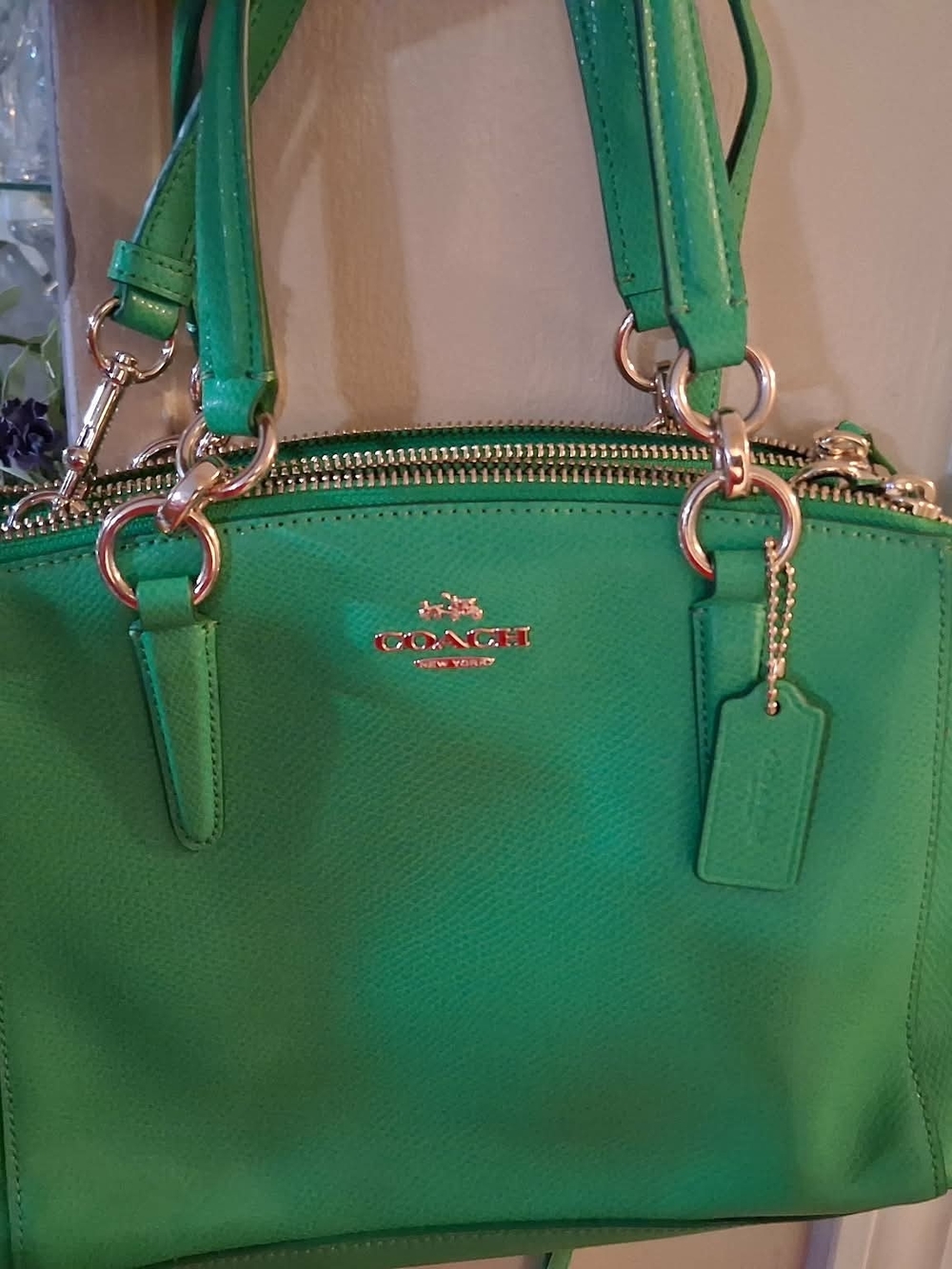 Coach Emerald Green Leather Shoulder Small/mediu Bag Cossbody with Gold Hardware
